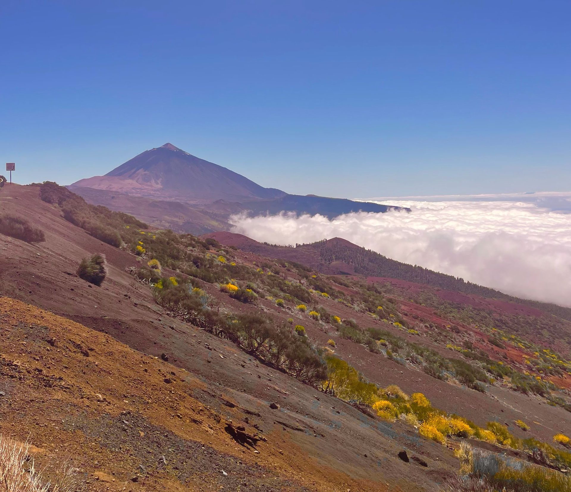Teide sobre el mar de nubes